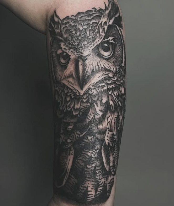 Owl