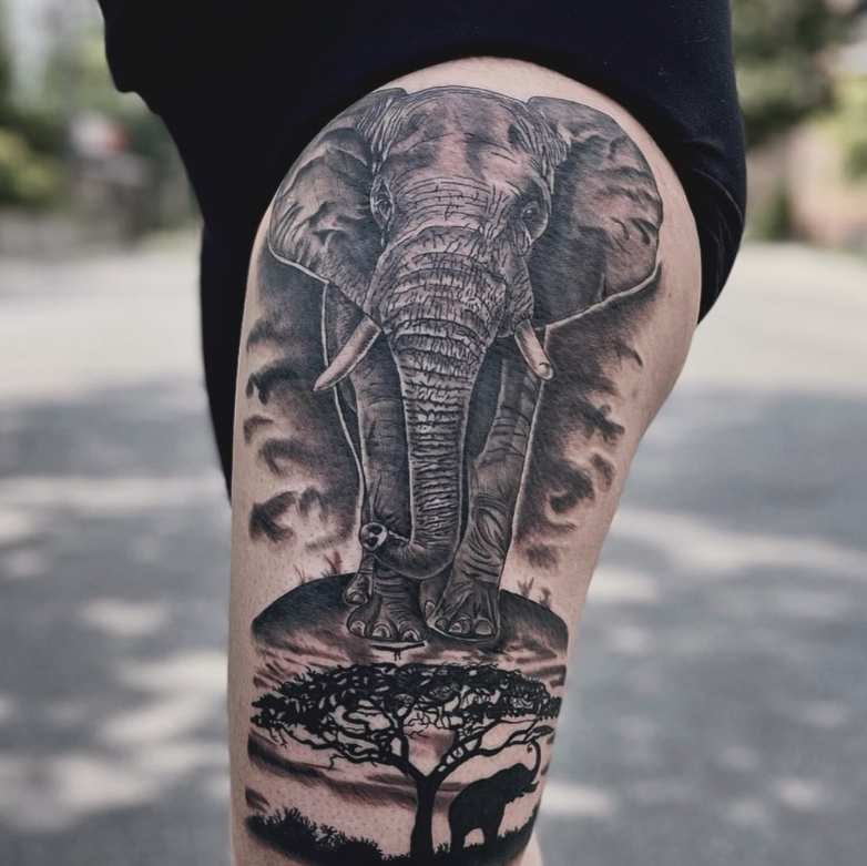 Elephant